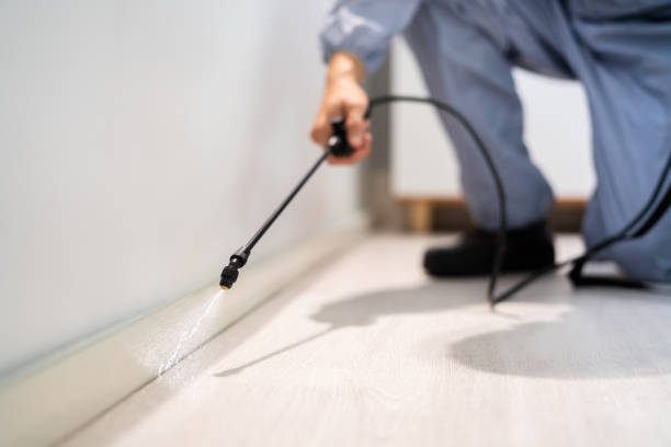Licensed Ant Control service in Coal County County, OK - Nex Pest Control